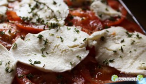 Lasagnes aux légumes grillés pour un jeune homme