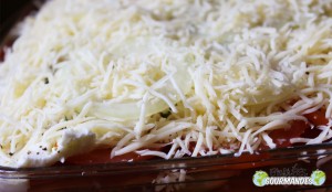 Lasagnes aux légumes grillés pour un jeune homme