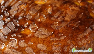 Pomme-potiron-gâteau-miel-beurre