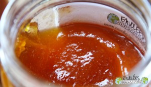 Confiture-papaye-gingembre-citron