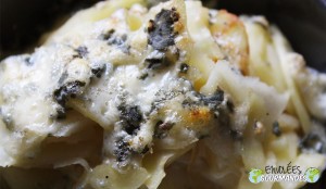 Petit gratin de panais