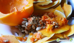 Le butternut ou doubeurre