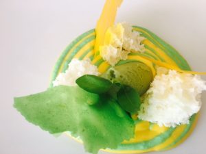 cremoso de aguacate & Mango, Biscuit léger au yaourt Sorbet Avocat