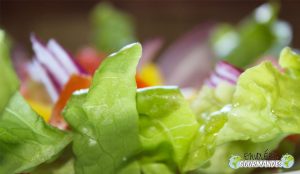 Petite salade estivale