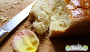 MON-PAIN-BRIOCHÉ-BLOG-1