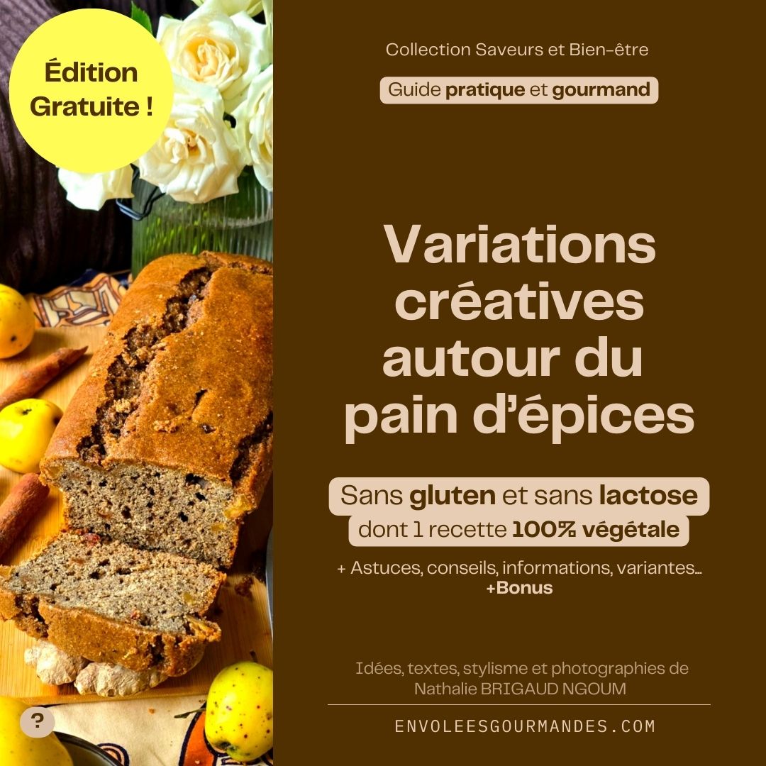 E-BOOK à télécharger : Variations créatives autour du pain d’épices SANS GLUTEN (édition gratuite)
