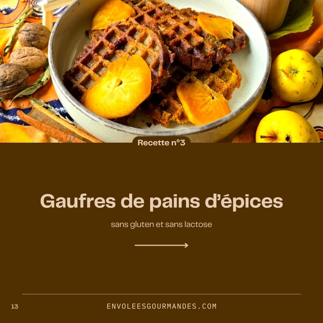 E-BOOK à télécharger : Variations créatives autour du pain d’épices SANS GLUTEN (édition gratuite) – Image 2
